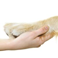 enetime - få professionel hjælp