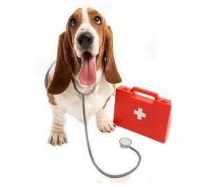 Lær om førstehjælp