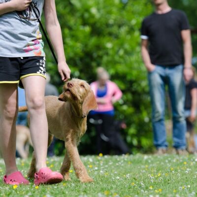 Ekstra deltagere til kurser