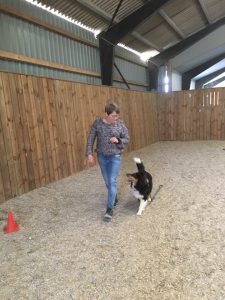 Enetime hundetræning