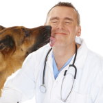 Dyrlægehuset i Nærum og Holte