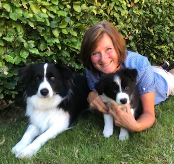 Den Glade Hundeskole