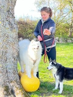 Katrine Thygesen med Saga