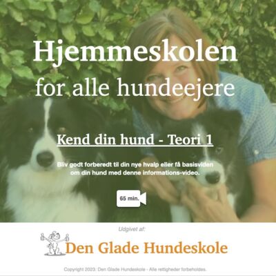 DGH Hjemmeskolen Teori 1.