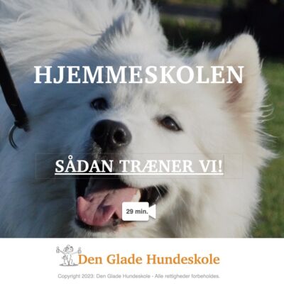 Sådan træner vi - Hjemmeskolen