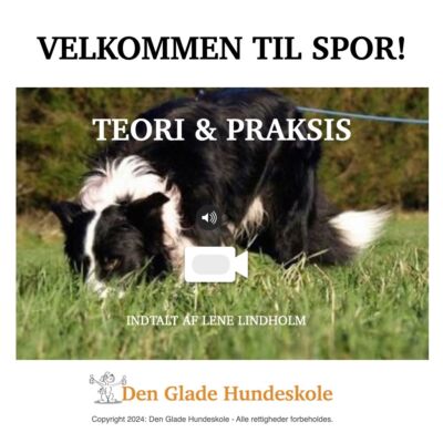 Spor, teori og praksis