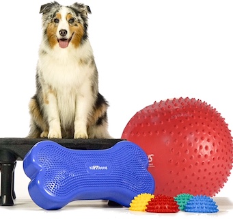 Hundegymnastik - Hundefitness Kropskontrol